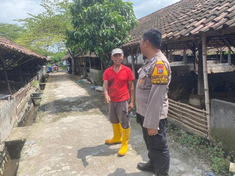 POLRESTA SIDOARJO | Bhabinkamtibmas Desa Kebonsari Tinjau Program Ketahanan Pangan Peternakan Bebek Petelur